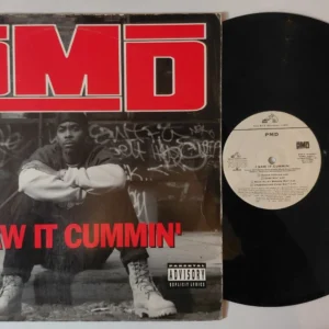 PMD 12" VINYL - I SAW IT CUMMIN' / STEPPIN' THRU HARDCORE - BMG 1994